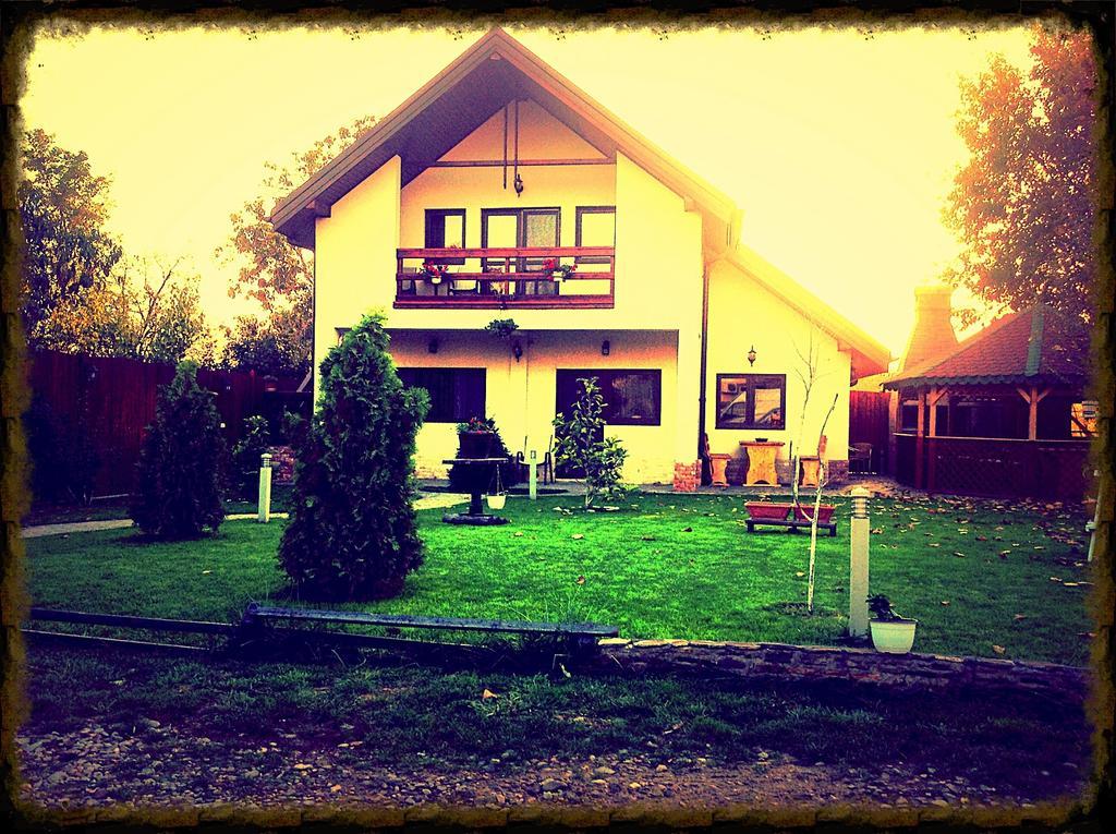 Pensiunea Puiu Afumaţi Exterior foto