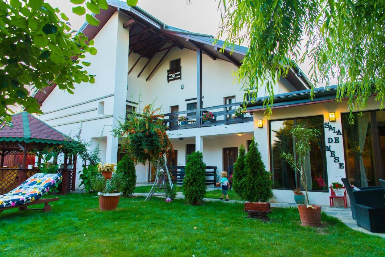 Pensiunea Puiu Afumaţi Exterior foto