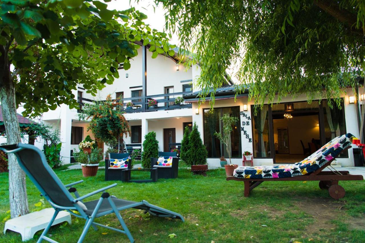 Pensiunea Puiu Afumaţi Exterior foto
