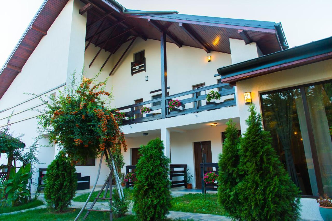 Pensiunea Puiu Afumaţi Exterior foto